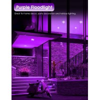 Purple Flood Light Bulbs Outdoor 2 Pack Par38 Led Purple Light Bulbs Notdimmable15W100W Equivalent E26 Purple Light Bulb Hal