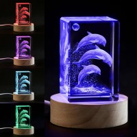 Youercrystal 3D Crystal Dolphin Figurine Night Light With Led Light Base Birthday Gift For Kids Women Unique Thanksgiving Chri