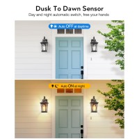 Vianis Dusk To Dawn Outdoor Wall Lighting Black Gold Waterproof Exterior Wall Sconce Fixture For House 100 Antirust Aluminum