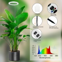 10 Led Ring Grow Lights For Indoor Plants 160Leds Full Spectrum Large Plant Light For Indoor Plants Height Adjustable Growing