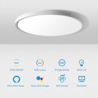 Melegan 2Pcs Rgb Smart Ceiling Light Super Slim Led Flush Mount Ceiling Wifi Work With Alexa Google Home 12Inch 24W Dimmable 2