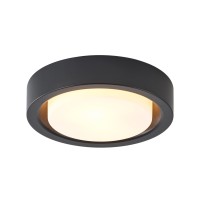 Miaomeio 13 Inch Flush Mount Ceiling Light,Black Finish Plate With Frosted Glass Shade,Round Ceiling Lighting Fixture For Hallway Bedroom Closet Livingroom Kitchen Stairwell (Black)