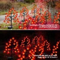 Fall D Cor Solar Garden Lights Outdoor For Thanksgiving Decorations 40Led 2Pack Red Maple Leaves Tree Lights With Outdoor Autu