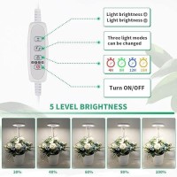 2 Pack Halo Plant Grow Light 6000K White Led Full Spectrum Growing Lamp For Indoor Plants Succulents Mini Bonsai Small Plant