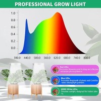 2 Pack Halo Plant Grow Light 6000K White Led Full Spectrum Growing Lamp For Indoor Plants Succulents Mini Bonsai Small Plant