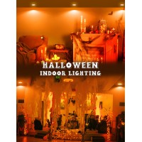 Jandcase Br30 Halloween Light Bulbs E26 Base Halloween Orange Indoor Flood Light Bulbsorange Flood Light Bulbs For Halloween D