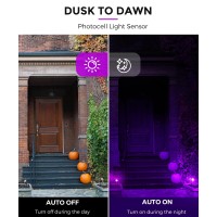 Lohas Halloween Spotlight Outdoor Purple Led Spot Lights For Yard Auto Onoff 5W 120V Landscape Lighting For House Holiday T