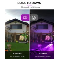 Lohas Purple Led Flood Light Outdoor 50W Plug In Flood Light Ip66 Waterproof Halloween Decorations 2300L