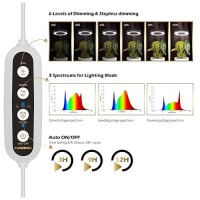 Glowrium Grow Light With Stand 2Head Led Plant Light For Indoor Plants Full Spectrum Grow Lamp 3912H Timer 6 Dimmable Leve