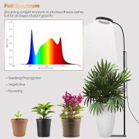 Glowrium Grow Lights For Indoor Plants 20W Full Spectrum Led Grow Light Floor Lamp With Stand Adjustable Height And Angle Blac