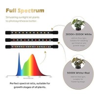 Glowrium Plant Light Led Grow Lights For Indoor Plants Clip Plant Light With Lcd Display Timer Full Spectrum Suitable For Any