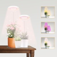 Gooingtop Led Grow Light Halo Plant Growing Lamp For Indoor Plants Growth White Full Spectrum Low Light For Small Plants Upgra