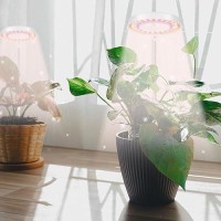 Gooingtop Led Grow Light Halo Plant Growing Lamp For Indoor Plants Growth White Full Spectrum Low Light For Small Plants Upgra