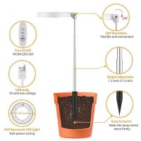 Gooingtop Led Grow Light Halo Plant Growing Lamp For Indoor Plants Growth White Full Spectrum Low Light For Small Plants Upgra