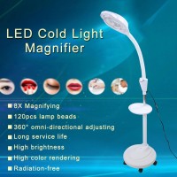 Led Magnifying Floor Lamp With 5 Wheels Rolling Base Cold Light Height Adjustable Stand Lamp For Reading, Crafts, Sewing, Close Work (Us Plug 110V)