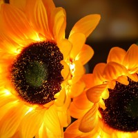 Wsyear Sunflower Gifts For Womensunflower Party Decorations Sunflower Lamp For Birthday Wedding Anniversary Romantic Gifts For