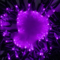 Yuletime Purple Led Christmas Lights With Black Wire 33 Ft 100 Count Ul Certified Commercial Grade Halloween String Light Set