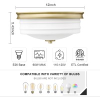 Luminzone Flush Mount Ceiling Light With Frosted Glass Shade 2Light Indoor Outdoor Farmhouse Lighting Flush Mount Lights For K