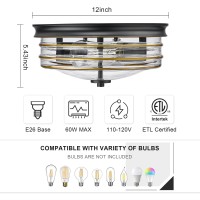 Flush Mount Ceiling Light With Clear Glass Shade 2Light Indoor Outdoor Farmhouse Lighting Flush Mount Lights For Kitchen Bedro