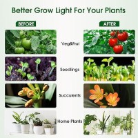 Energetic Led Grow Light Bulbs For Indoor Plants 12W 4000K A19 Plant Light Bulb 100 Watt Equivalent Full Spectrum Grow Light B