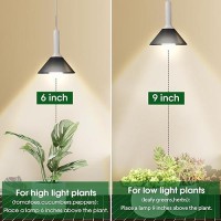 Energetic Led Grow Light Bulbs For Indoor Plants 12W 4000K A19 Plant Light Bulb 100 Watt Equivalent Full Spectrum Grow Light B