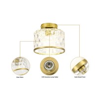 Zlepmlla Modern Flush Mount Ceiling Light Bulb Included With Farmhouse Clear Hammered Glass Lampshade Armhouse Ceiling Ligh