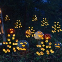 Outdoor Halloween Decorations 2 Pack 40Led Solar Halloween Pumpkin Stake Lights Waterproof Orange Jackolantern Solar Decorati