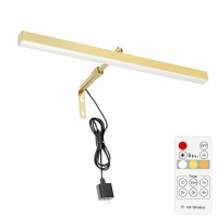 Ralbay Plug In Picture Light With Remote & Timer,Electroplated Gold Picture Lights Plugin For Wall,2M Plug In Picture Light Art Lights For Paintings,Plugin Wall Light For Frame