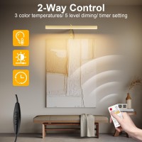 Ralbay Plug In Picture Light With Remote & Timer,Electroplated Gold Picture Lights Plugin For Wall,2M Plug In Picture Light Art Lights For Paintings,Plugin Wall Light For Frame