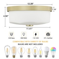 Luminzone Flush Mount Ceiling Light With Frosted Glass Shade 2Light Indoor Outdoor Farmhouse Lighting Flush Mount Lights For K