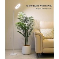 Geciliaoran Grow Light For Indoor Plants Full Spectrum Led Halo Tall Plant Growing Lights With Stand Height Adjustable Growth