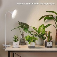 Yadoker Grow Lights For Indoor Plants Full Spectrum Clip On Grow Light With 8H12H16H Timer 10Level Brightness Adjustable G