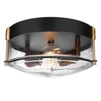 Rosient Close To Ceiling Light Fixture, 12 Inch Farmhouse Bubble Glass Ceiling Light Fixture With Metal Cage, 2-Light Black Gold Ceiling Lamp For Kitchen Dining Living Room Bathroom Hallway Foyer