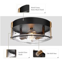 Rosient Close To Ceiling Light Fixture, 12 Inch Farmhouse Bubble Glass Ceiling Light Fixture With Metal Cage, 2-Light Black Gold Ceiling Lamp For Kitchen Dining Living Room Bathroom Hallway Foyer