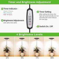 Lordem Grow Light Led Plant Light For Indoor Plants Growing Full Spectrum Desk Growth Lamp With Automatic Timer For 4H8H12H