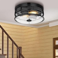 Flush Mount Ceiling Light Fixture 12 Inch Close To Ceiling Light With Black Metal Cage Modern Industrial Ceiling Lamp With See