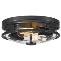 Darkaway 12Inch Ceiling Light Fixtures Flush Mount Indoor Outdoor Ceiling Light With Clear Glass Shade For Hallway Kitchen Bedroom Porch Living Room Dining Room 2-Light E26 Black Finish