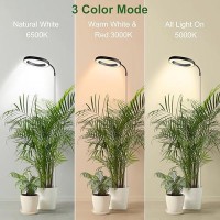 Wolezek Grow Lights For Indoor Plants Full Spectrum 80 Leds 3 Colors Grow Light 65In Large Plant Lights For Indoor Growing Wit