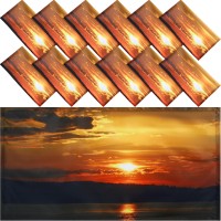 12 Pack Fluorescent Light Covers 4X 2 Feet Decorative Magnetic Fluorescent Light Covers Fluorescent Ceiling Light Filters Coveri