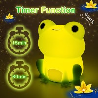 Cute Frog Night Night For Kids Color Changeable Soft Silicone Sleeping Night Lamp For Nursery Dimmable Timer Rechargeable Colo