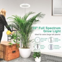 Lordem 10 Grow Light For Indoor Plants Full Spectrum Plant Lamp With160 Leds 4H8H12H Timer 10 Dimmable Levels 3 Spectrum