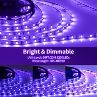 Dimmable Black Light Strip Kit 66Ft20M 1200 Leds 12V Flexible Blacklight Fixtures 385Nm400Nm Black Light Led Strip For Glow