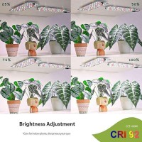 Aplant Plant Grow Light Slim Spacesaving Grow Lights For Indoor Plants 50W Dimmable Indoor Plant Lights With 61216H Timer