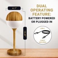 Nighthawk Lighting Cordless & Corded Dimmable Table Lamp - Indoors & Outdoors - Weather Rated - Usb-C Charging - Use Everywhere Bedside, Bookshelf, Accent, Dining, Patio, Kids Room - Wood