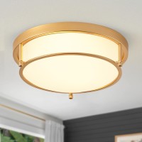 Binobro 13 Inch Gold Ceiling Light, 2-Light Modern Ceiling Light With Frosted Glass Shade And Gold Finish Ceiling Light Fixtures For Living Room Hallway Bedroom(Gold)