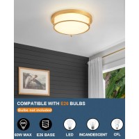 Binobro 13 Inch Gold Ceiling Light, 2-Light Modern Ceiling Light With Frosted Glass Shade And Gold Finish Ceiling Light Fixtures For Living Room Hallway Bedroom(Gold)