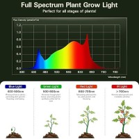 Everygrow Outdoor Grow Lights For Greenhouse Full Spectrum Greenhouse Grow Lights For Outdoor Plants Ip65 Waterproof String Gr