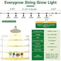 Everygrow Outdoor Grow Lights For Greenhouse Full Spectrum Greenhouse Grow Lights For Outdoor Plants Ip65 Waterproof String Gr