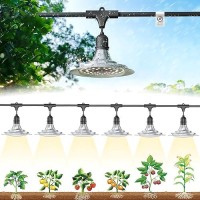 Everygrow Outdoor Grow Lights For Greenhouse Full Spectrum Greenhouse Grow Lights For Outdoor Plants Ip65 Waterproof String Gr