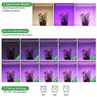 Rwntao Two Strip Growing Lamp For Indoor Plants Red 3000K 6000K Full Spectrum Led Grow Light Strips With Auto Onoff 3912